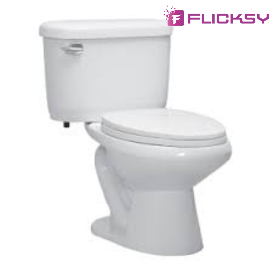 Western toilet replacement