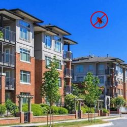 Apartment Pest Control