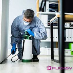 Offices Pest Control