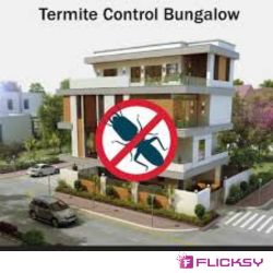Bungalow Termite control